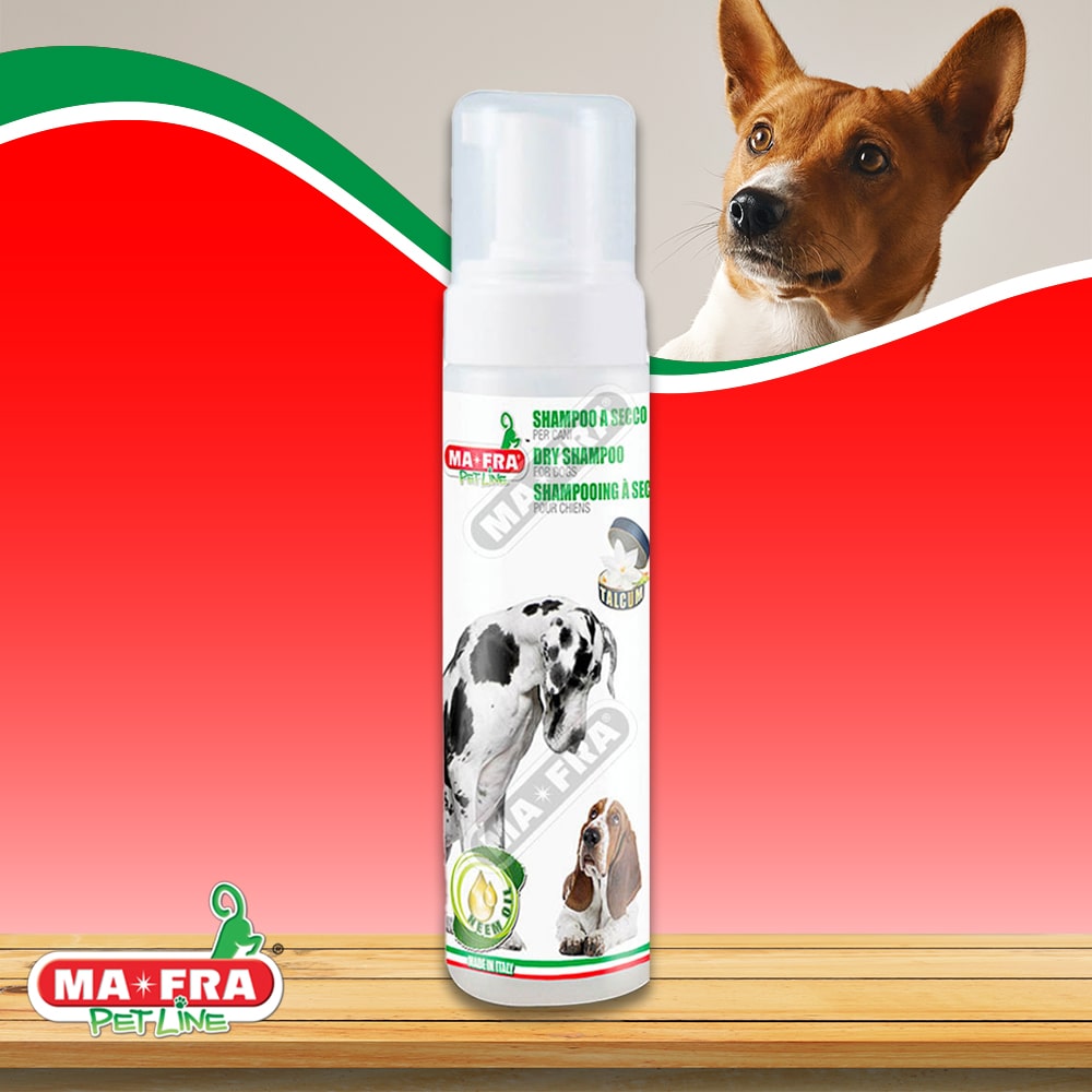 SHAMPOO SECO PARA PERROS